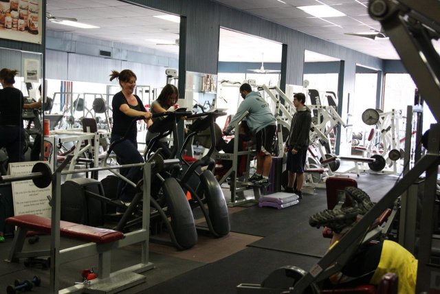 Gym members using elipticals